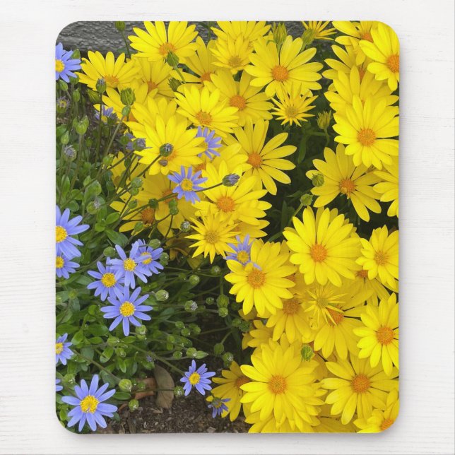 Yellow and Purple Daisies Mouse Pad (Front)