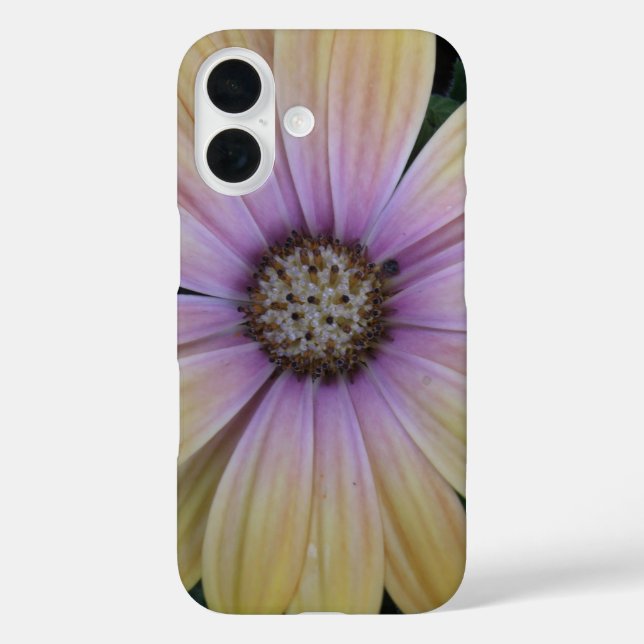 Yellow and Purple Daisy Flower Case-Mate iPhone Case (Back)