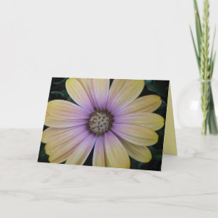 Yellow and Purple Daisy Flower Get Well Custom Card