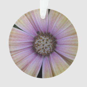 Yellow and Purple Daisy Flower Ornament