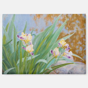 Yellow and Purple Irises with Golden Light Magnet
