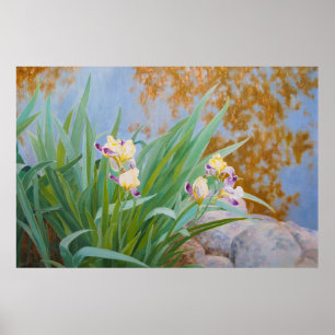 Yellow and Purple Irises with Golden Light Poster
