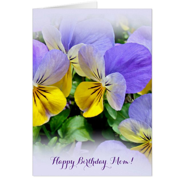 Yellow and Purple Pansies (Front)