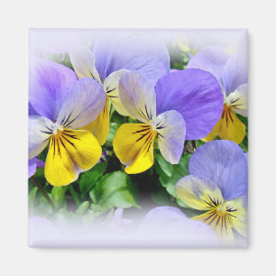 Yellow and Purple Pansies Magnet