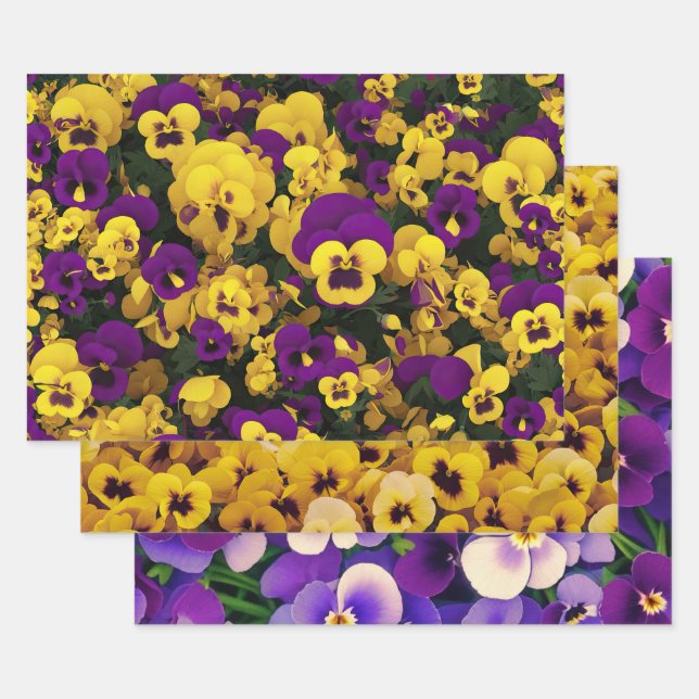 Yellow and Purple Pansies Wrapping Paper Sheet (Set)