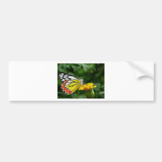 Yellow and Red Butterfly on Yellow Flower Bumper Sticker