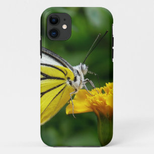 Yellow and Red Butterfly on Yellow Flower iPhone 11 Case