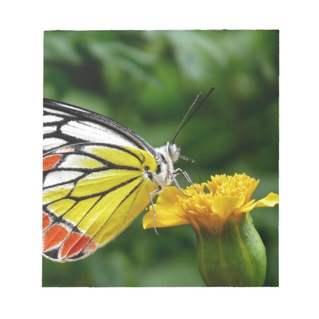 Yellow and Red Butterfly on Yellow Flower Notepad (Front)