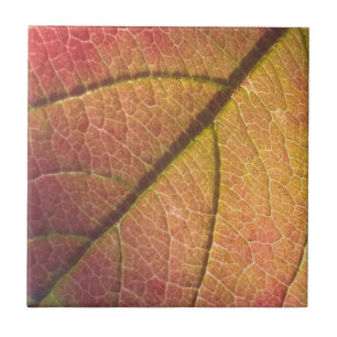 Yellow And Red Fall Leaf Ceramic Tile