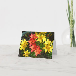 Yellow and Red Lily Flower Photo Design Greeting Card