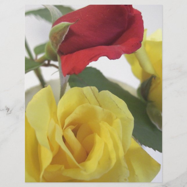 Yellow and Red Roses (Front)