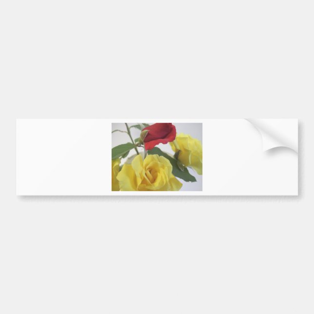 Yellow and Red Roses Bumper Sticker (Front)