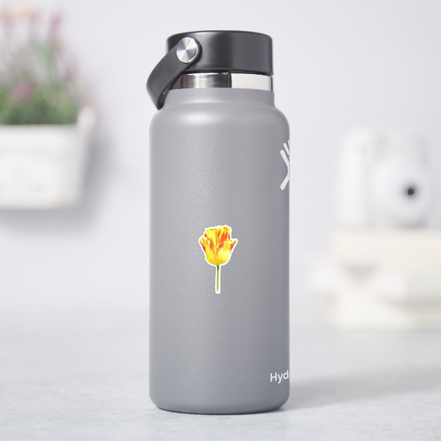 Yellow and red tulip (HydroFlask)