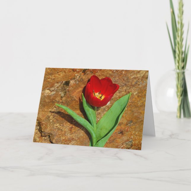 Yellow and Red Tulip Holiday Card (Front)