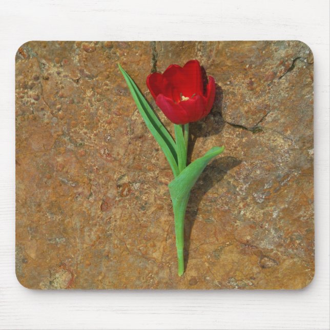 yellow and Red Tulip Mouse Pad (Front)