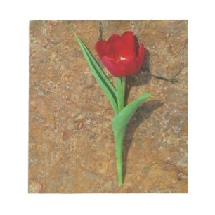 yellow and Red Tulip Notepad