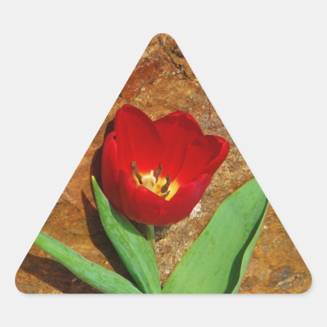 Yellow and Red Tulip Triangle Sticker (Front)