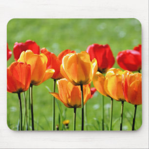 Yellow And Red Tulips Mouse Pad
