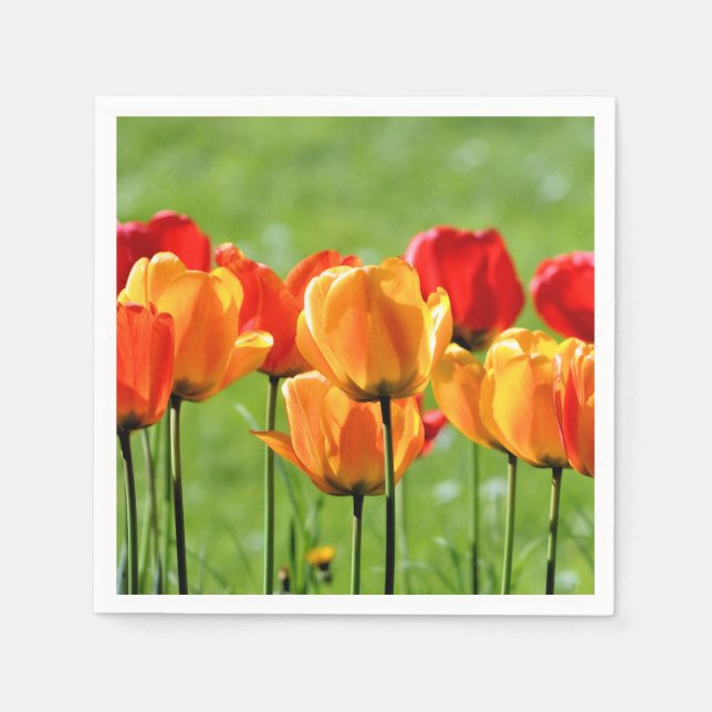 Yellow And Red Tulips Napkin (Front)