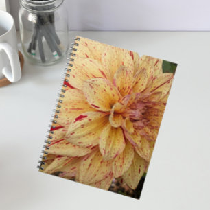 Yellow and Red Variegated Dahlia Floral Notebook
