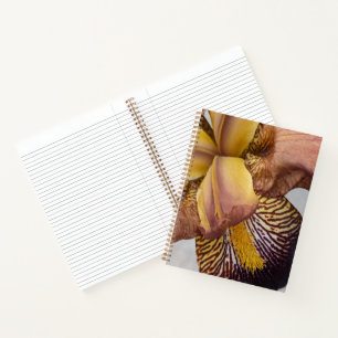 Yellow and Violet Bearded Iris Floral Notebook