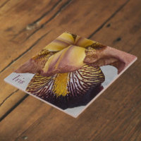 Yellow and Violet Beardless Iris Floral