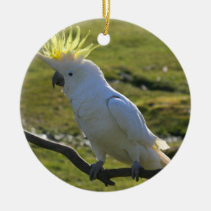 Yellow and White Cockatoo Parrot Ceramic Tree Decoration