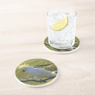 Yellow and White Cockatoo Parrot Coaster
