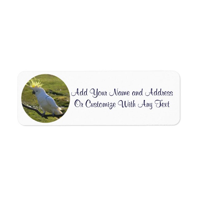 Yellow and White Cockatoo Parrot Return Address Label (Front)