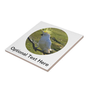Yellow and White Cockatoo Parrot Tile