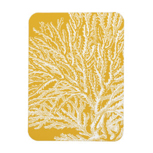Yellow and White Coral Magnet