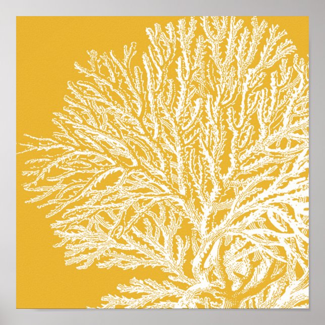 Yellow and White Coral Poster (Front)