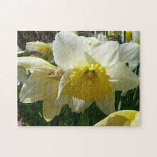 Yellow and White Daffodil Spring Floral Jigsaw Puzzle