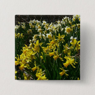 Yellow and White Daffodils Spring Flowers 15 Cm Square Badge