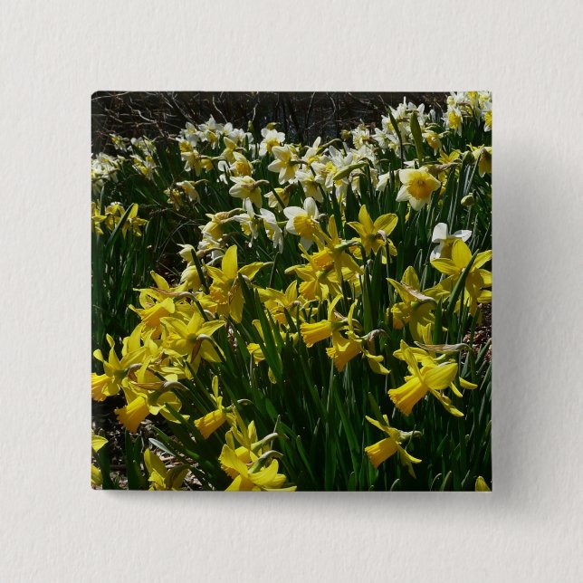 Yellow and White Daffodils Spring Flowers 15 Cm Square Badge (Front)