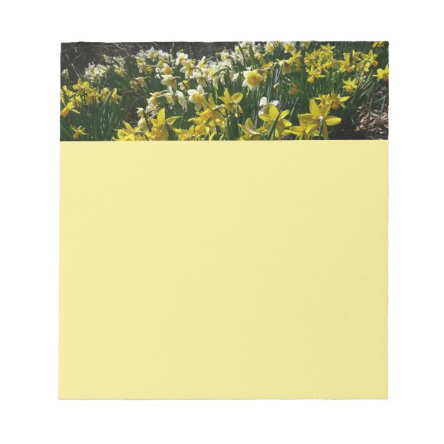 Yellow and White Daffodils Spring Flowers Notepad (Front)