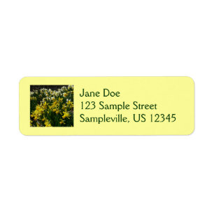 Yellow and White Daffodils Spring Flowers Return Address Label