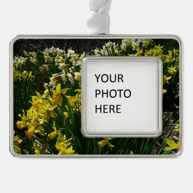 Yellow and White Daffodils Spring Flowers Silver Plated Framed Ornament (Front)