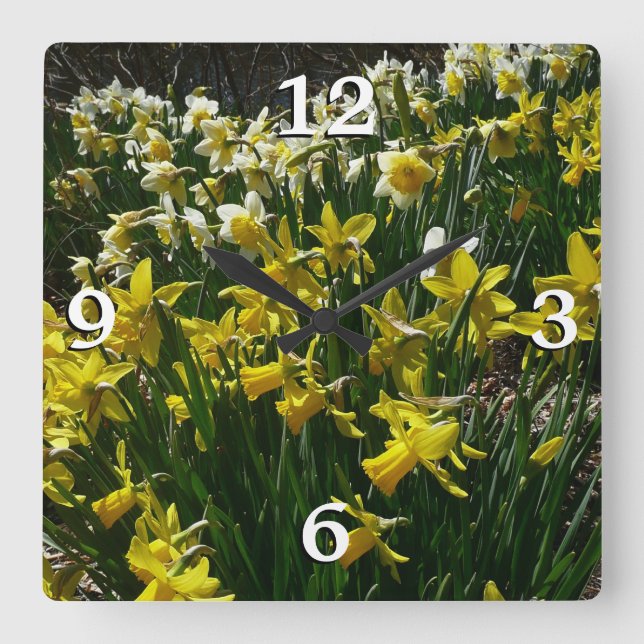 Yellow and White Daffodils Spring Flowers Square Wall Clock (Front)
