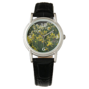 Yellow and White Daffodils Spring Flowers Watch