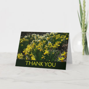 Yellow and White Daffodils Thank You Card
