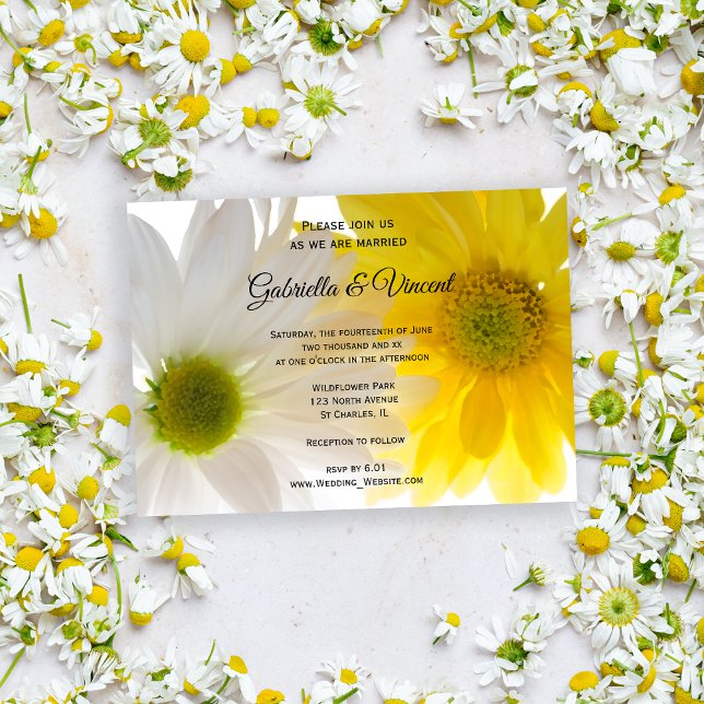 Yellow and White Daisies Wedding Invitation (Invite guests to your summery marriage with the pretty Yellow and White Daisies Wedding Invitation.)