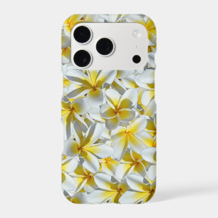 Yellow And White Frangipani Cluster,  