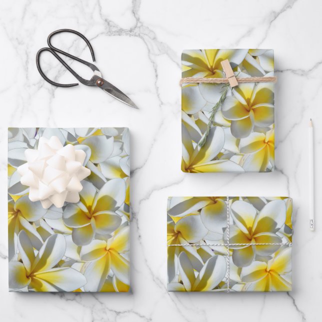 Yellow And White Frangipani Flowers,  Wrapping Paper Sheet (Front)