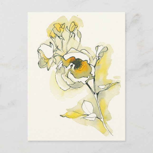 Yellow and White Roses Postcard (Front)