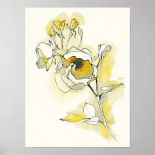 Yellow and White Roses Poster