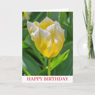 Yellow and white tulip birthday card