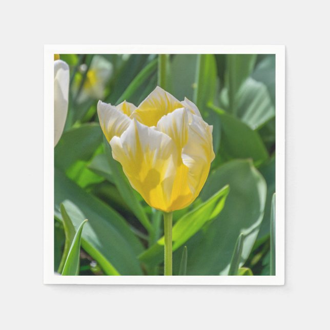 Yellow and white tulip napkin (Front)