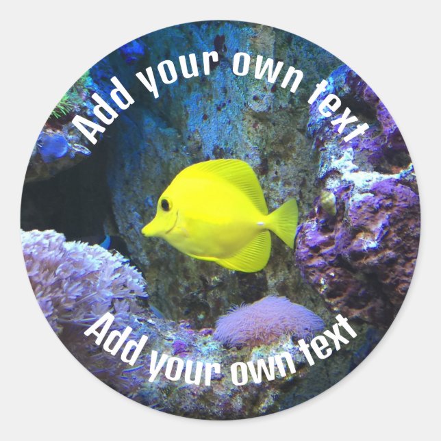 Yellow Angelfish and Coral Custom Text Classic Round Sticker (Front)