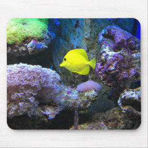 Yellow Angelfish Mouse Pad